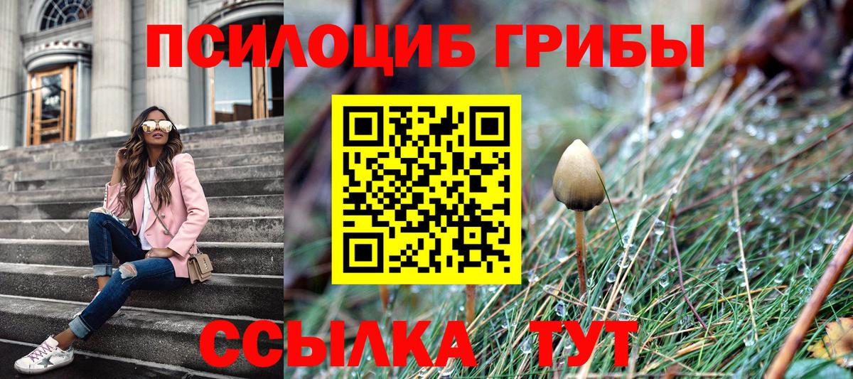 Галлюциногенные грибы MAGIC MUSHROOMS  Псилоцибиновые грибы Psilocybe  Петропавловск-Камчатский  Вход с VPN 