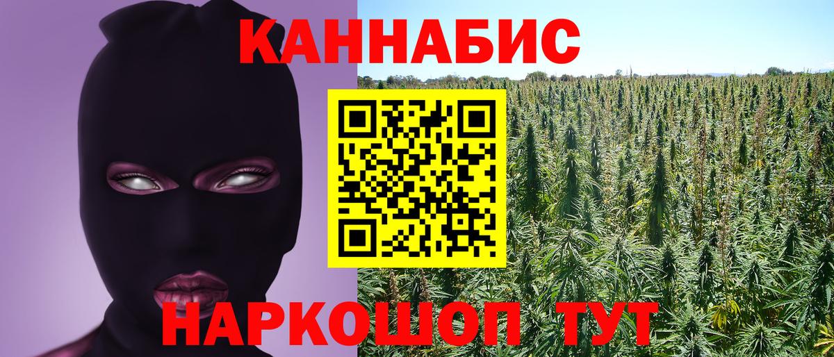 Канабис Bruce Banner  Бошки марихуана Ganja  Петропавловск-Камчатский  Бошки Шишки ГИДРОПОН  Вход с VPN 